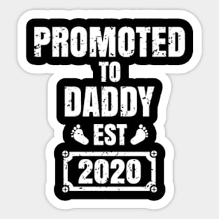 Promoted to daddy 2020,Promoted to daddy,father gifts,new bebe, Sticker